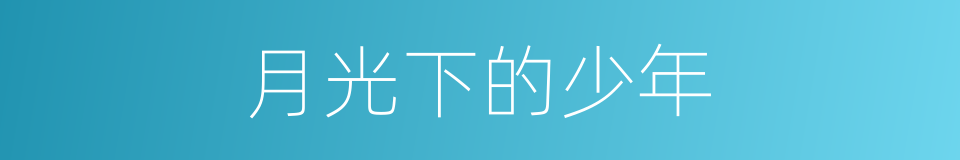 月光下的少年的同义词