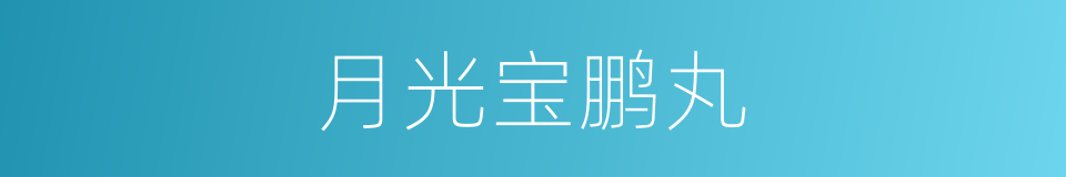 月光宝鹏丸的同义词