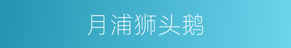 月浦狮头鹅的同义词