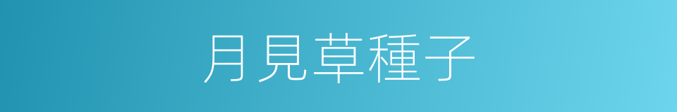 月見草種子的同義詞