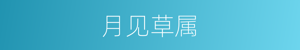 月见草属的同义词