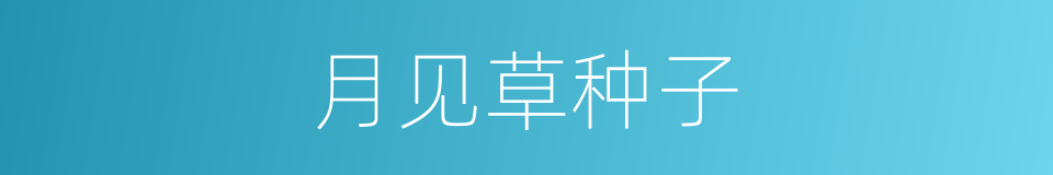 月见草种子的同义词