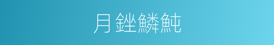 月銼鱗魨的同義詞