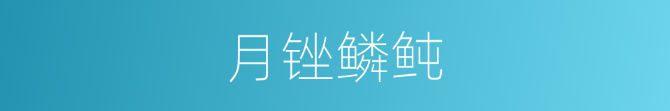 月锉鳞鲀的同义词