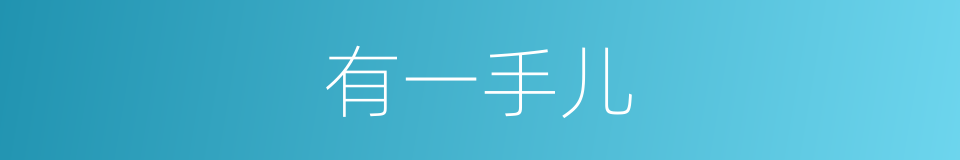 有一手儿的意思