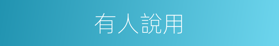 有人說用的同義詞