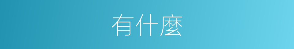 有什麼的同義詞