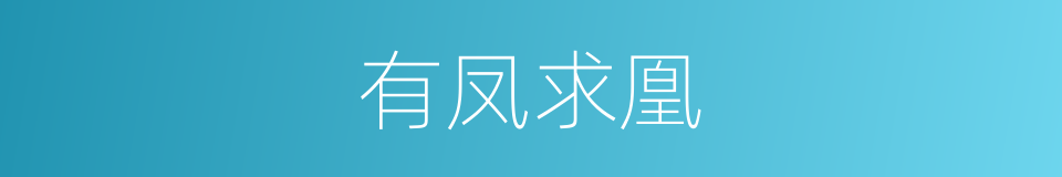 有凤求凰的同义词