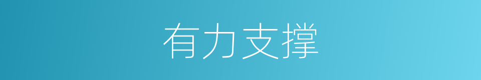 有力支撑的同义词