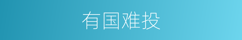 有国难投的意思