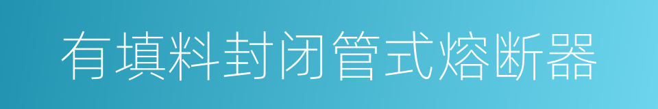 有填料封闭管式熔断器的同义词