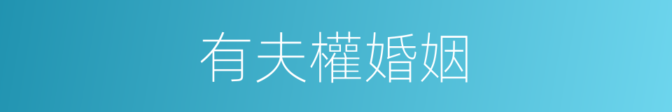 有夫權婚姻的同義詞