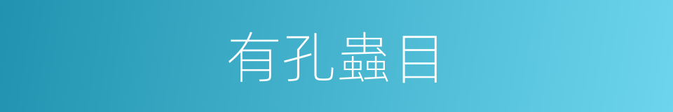有孔蟲目的同義詞
