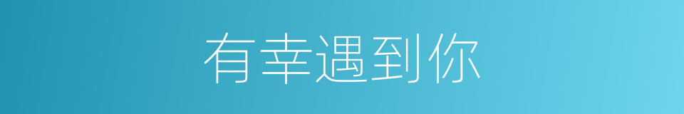 有幸遇到你的同义词