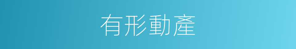 有形動產的同義詞