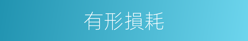 有形損耗的意思