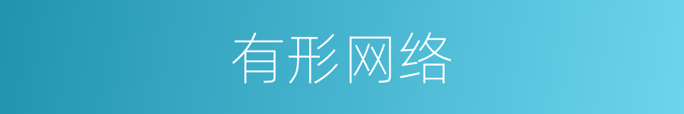 有形网络的同义词