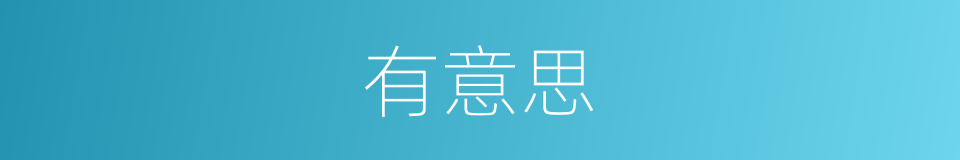 有意思的意思