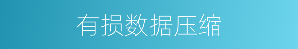 有损数据压缩的同义词