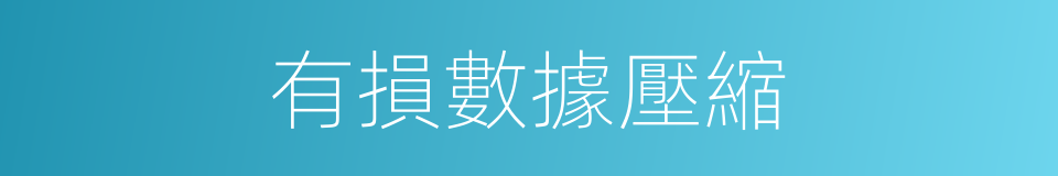 有損數據壓縮的同義詞