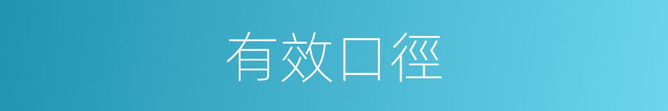 有效口徑的意思