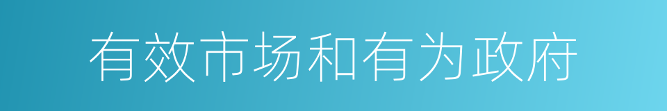 有效市场和有为政府的同义词