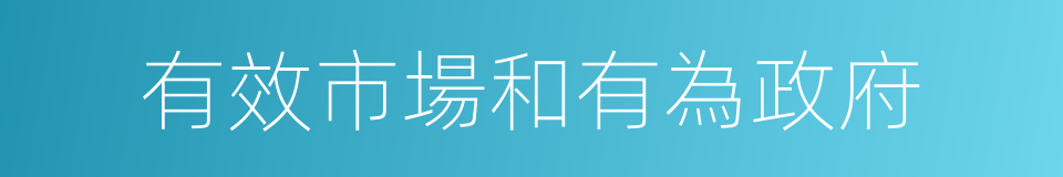 有效市場和有為政府的同義詞