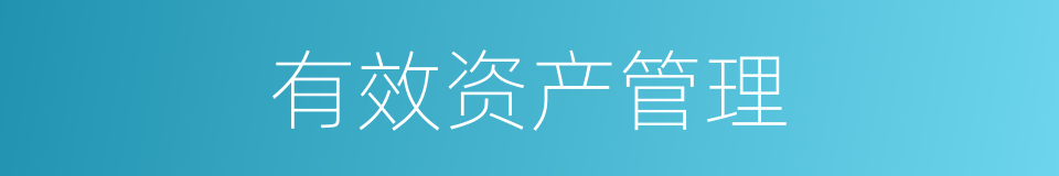 有效资产管理的同义词