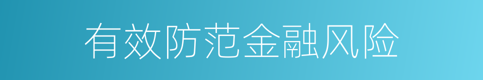 有效防范金融风险的同义词