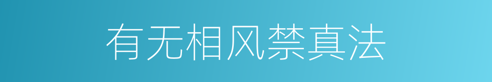 有无相风禁真法的同义词