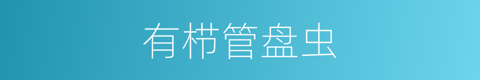 有栉管盘虫的同义词