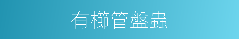 有櫛管盤蟲的同義詞
