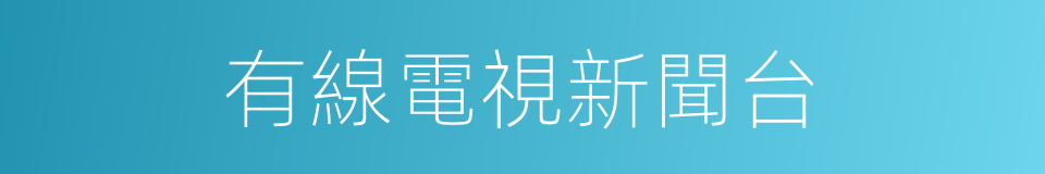 有線電視新聞台的同義詞