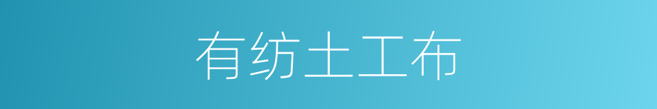 有纺土工布的同义词