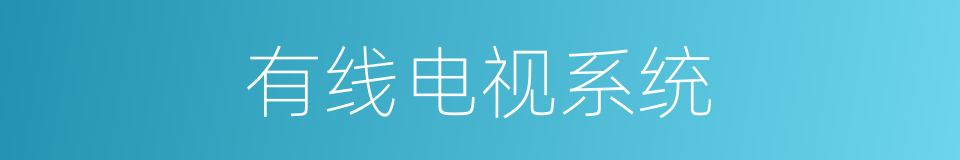 有线电视系统的同义词