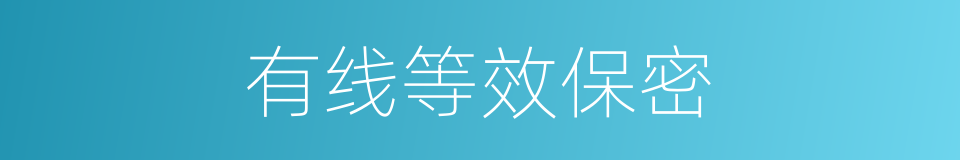 有线等效保密的同义词