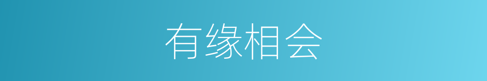 有缘相会的同义词