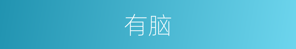 有脑的意思