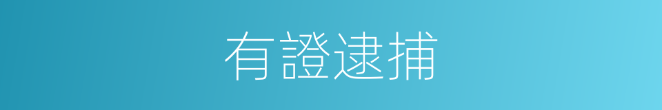 有證逮捕的同義詞