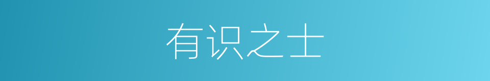 有识之士的意思