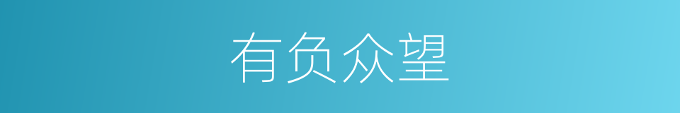 有负众望的意思