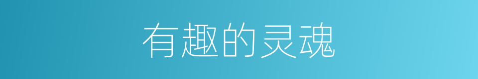 有趣的灵魂的同义词