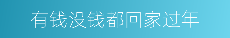有钱没钱都回家过年的同义词