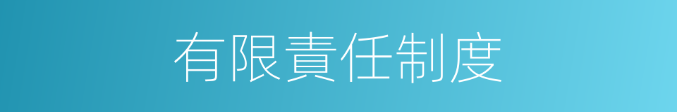 有限責任制度的同義詞