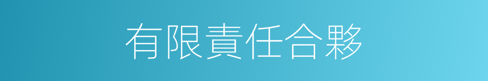 有限責任合夥的同義詞