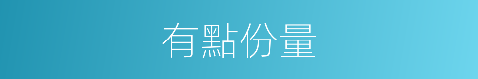 有點份量的同義詞
