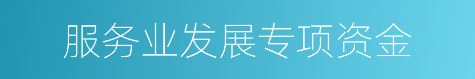 服务业发展专项资金的同义词