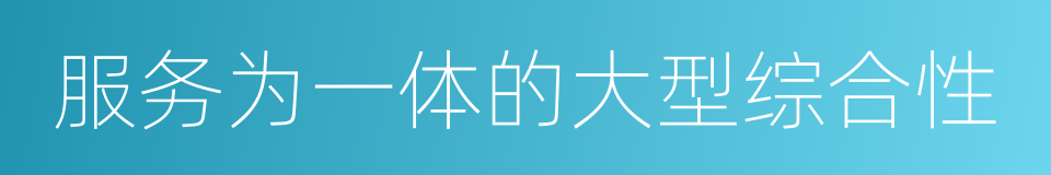 服务为一体的大型综合性的同义词