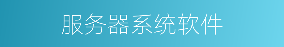 服务器系统软件的同义词