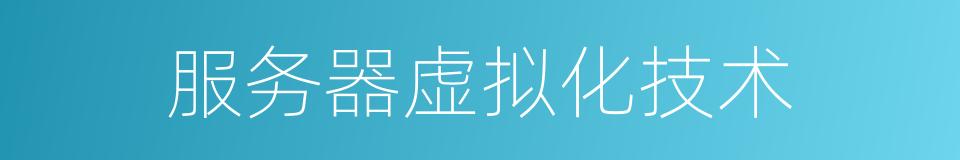 服务器虚拟化技术的同义词
